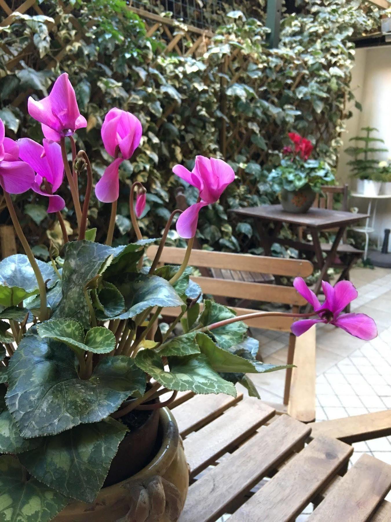 Bed & Breakfast St. John Roma